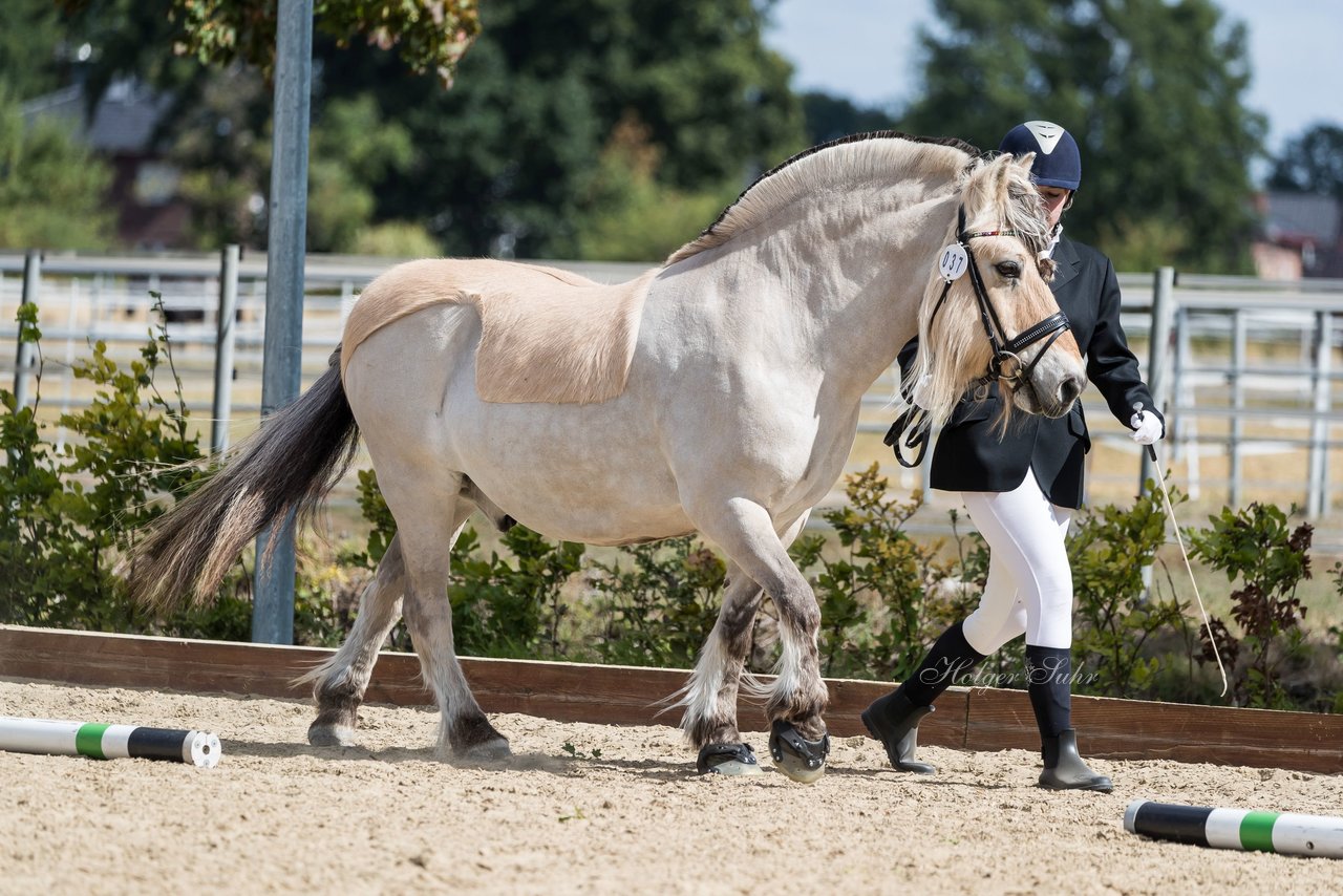 Bild 7 - Pony Akademie Turnier